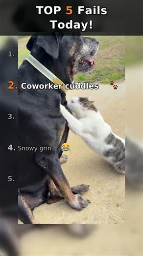 Who's Worst? 5 Fails 💀 "Roof tumble" 😂