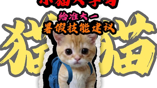 小猫大学习之给准大一暑假技能建议