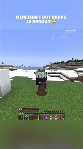 Random Drops in Minecraft: A Fun Modded Experience