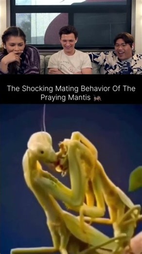 #viral #trending