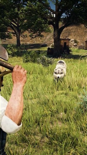 Mastering Survival Skill in Red Dead Redemption 2 #rdr2 #survivaltips #gamingshorts #gaming #shorts