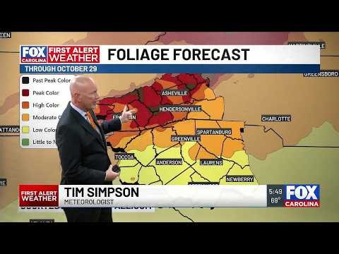 Gradual warm up this week, rain returns this weekend