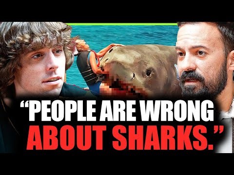 The Shocking Truth About Why Sharks Never Want to Kill Humans in the Wild | Gus Gonzalez