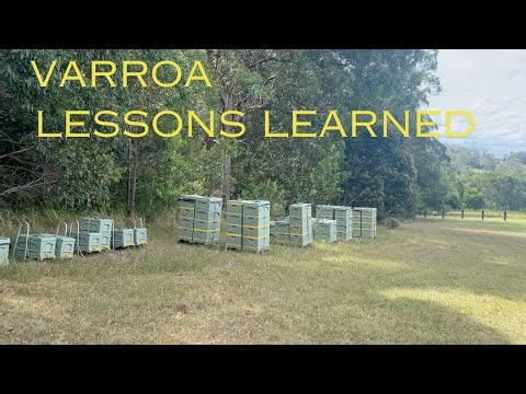 🐝 Varroa lessons learned. Varroa management tips for Australian conditions - Summer 2026.