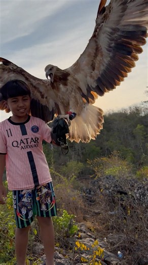 Tarzan boy skill in controlling the eagle king in the jungle #animals #nature #explore