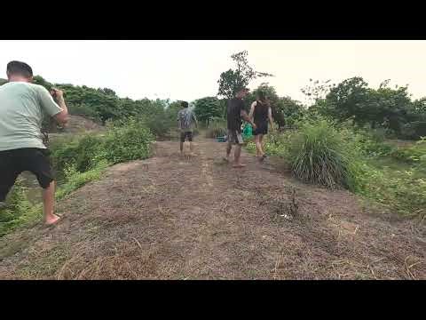 5 Brave Villagers Carry Giant Python After Dramatic Capture | Huge Snake Found in Farm