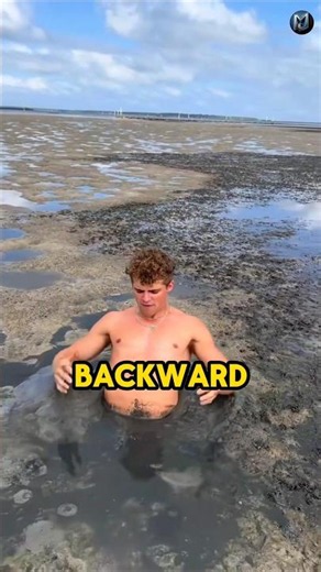 Why Quicksand Is More Dangerous Than You Think 😱