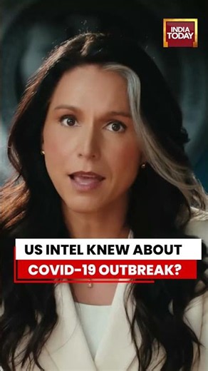 US Intel Knew About Covid 19 Outbreak: Tulsi Gabbard Exposes Anthony Fauci | Covid-19 Outbreak News