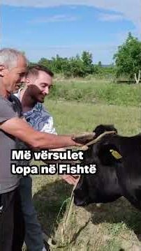 Videon e plotë e gjeni në kanalin tonë në YouTube/ Andale AL