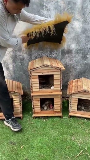 Ultimate DIY Wooden Chicken Coop 🐔 | Multi-Purpose Pet House #chicken