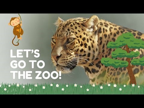 Let's go to the Bronx Zoo and New York Aquarium, Amazing Wildlife!