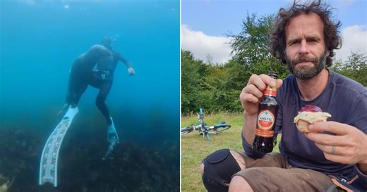Man goes diving off North Devon coast and curious creature soon joins him