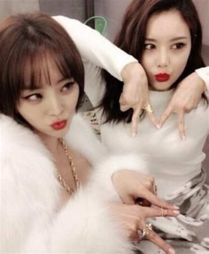 T-ARA and Brown Eyed Girls Song Similarities — Are They Sisters?