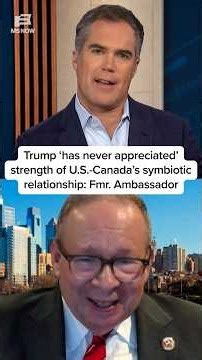 Trump 'has never appreciated' strength of U.S.-Canada's symbiotic relationship: Fmr. Ambassador