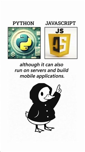 What’s the difference? PYTHON AND JAVA SCRIPT