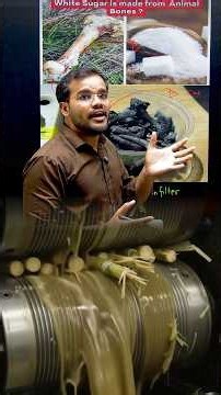 Uses of Bone im sugar mill | #science #education #physics #learning #experiment
