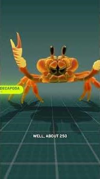 Everything Is A Crab