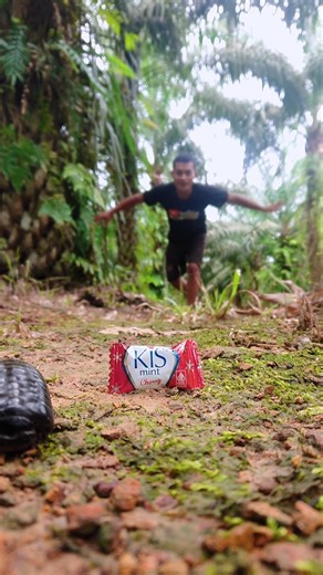 This tiny pill millipede made the internet smile 🐛😊 #pillmillipede #shorts