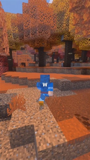 The ULTIMATE Java W #minecraft #java #bedrock #comparison #storage #pc #tips