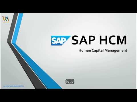 Overview SAP HCM by Wael Al Muntaser