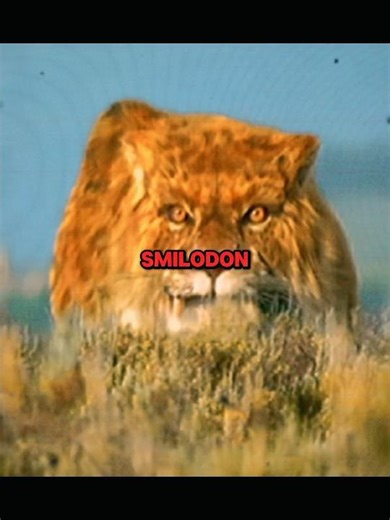 How did humans survive encounters with these ice age animals?! #prehistoric #iceage #earlyhumans