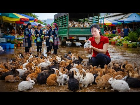 REWIND TIMELAPSE: Harvest 1000+Crazy Rabbits & Go to Market Sell, I was Ambushed by a Giant Python!