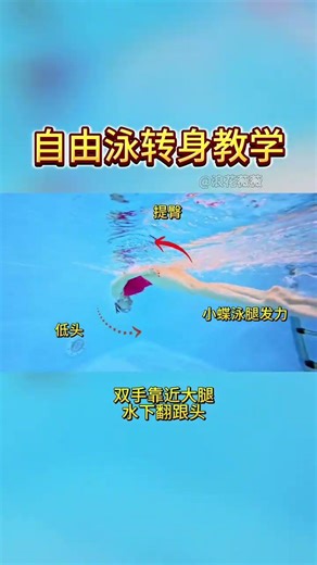 Master Freestyle Swimming Techniques in this Pool Tutorial Swimming Freestyle Pool Learn