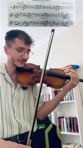 Schubert Serenade - Violin&Keman