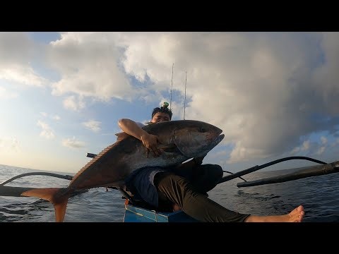 Ep.44 Monster Amberjack 