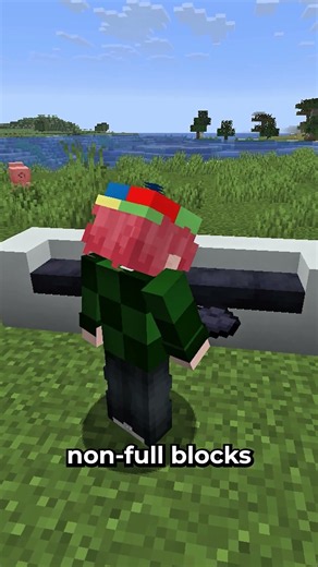 Mojang NEEDS to add this to Minecraft
