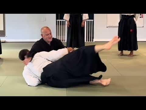 Aikido: Kokyu Dosa (Ki no Nagare) with Confirmation Pressures - Instructor Highlights