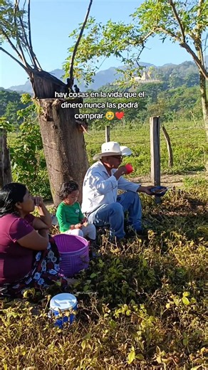 12K views · 286 reactions | Hay cosas en la vida que el dinero nunca las podrá comprar 🥹❤️🙌🏼✨🫰🏼 #reelsfacebook #paratii #amor #padres #reels #vidadecampo | Camarillo Mich