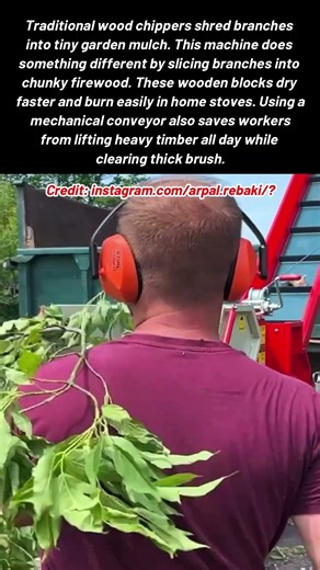 Turning Fallen Tree Branches Into Neat Firewood In Seconds