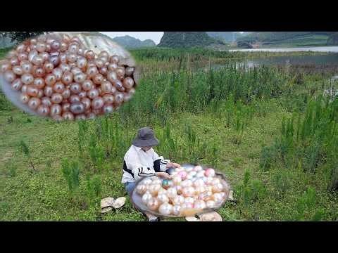 A giant, beautiful pearl was unexpectedly found.