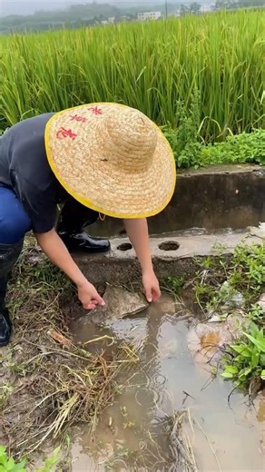 Rural farmers agricultural activity in the field | modern agriculture #farmer #agriculture