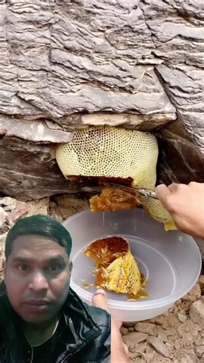 separating comb for honey