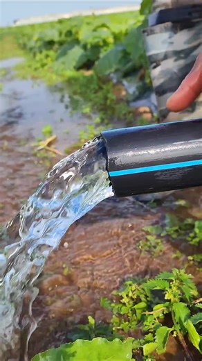 Discover USA TikTok Trends and Content Creators