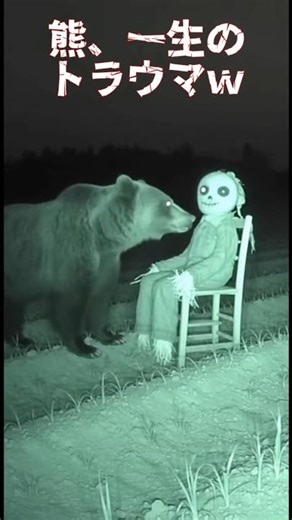 熊がドッキリの案山子に驚いた瞬間！ #animalshorts #衝撃映像 #監視カメラ #自然の記録 #野生動物