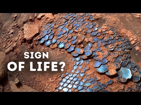 NASA Found Something That Looks Like a Giant Reptile on Mars