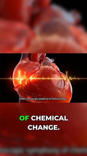 The Krebs Cycle: The Hidden Heartbeat of Your Cells
