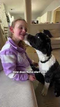 Dog Realizes His Human Sister Has Diabetes Before Anyone Else | The Dodo