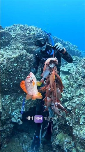 Why Fishermen Use Arrows Underwater! #viral #shorts