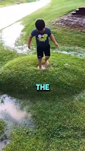 Why Lawn “Grass Bubbles” Can Destroy Your Yard 😱