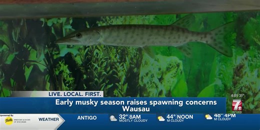 Early musky season raises spawning concerns, Wausau