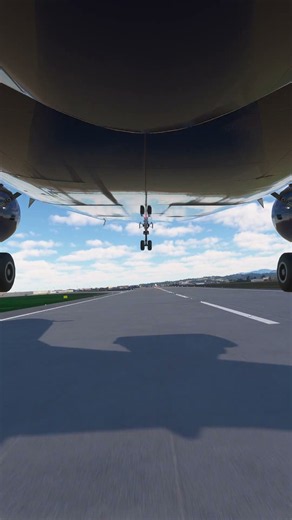 the pilot's actions endangered the plane's passengers EP473