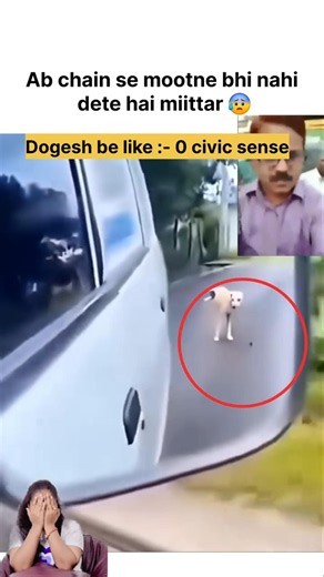 Dogesh ke sath anyaay😰 #trending #popular #dogeshmemes #shorts #shortsfeed #funny #viral