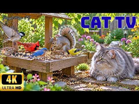 CAT TV NO ADS 🐦 Birds Feeding & Flying in the Garden | Relaxing Cat TV | 4K HDR | JungleWing TV