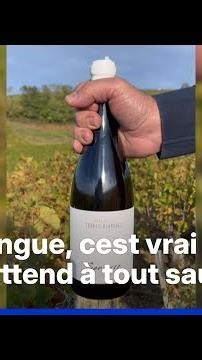 Après une apparition dans le documentaire sur Taylor Swift, ce vin français cartonne aux États-Unis