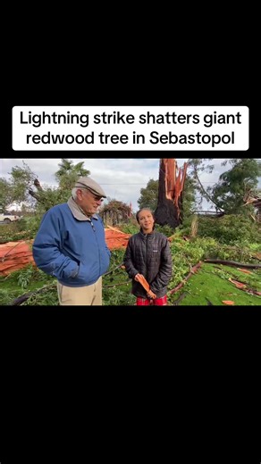 Lightning Strike Shatters Giant Redwood Tree in Sebastopol