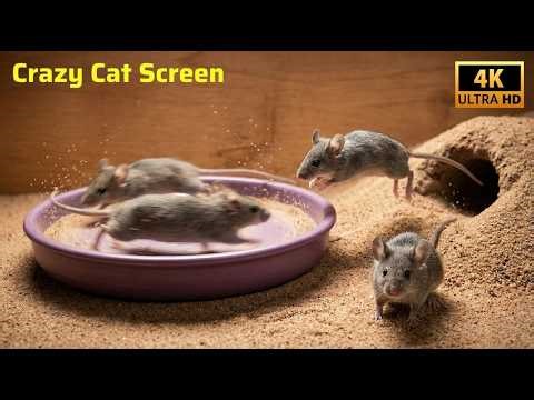 🐭 Spinning Mouse Chaos! Fast Running, Jumping & Dust Explosion | Cat TV 4K 60FPS 3 Hours